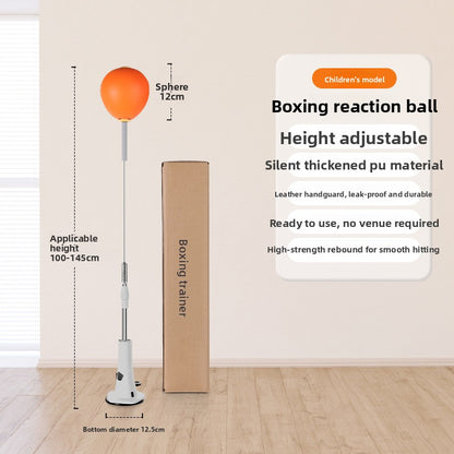Boxing Training Ball