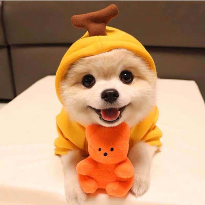 Pet Hoodies