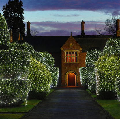 Christmas led lights