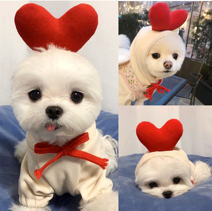 Pet Hoodies
