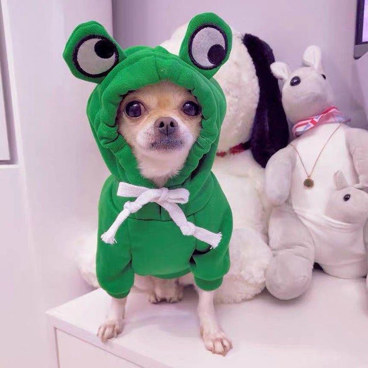 Pet Hoodies